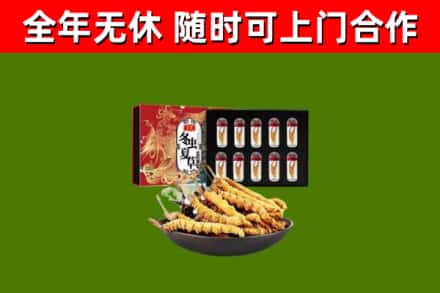 魏市回收冬虫夏草价格